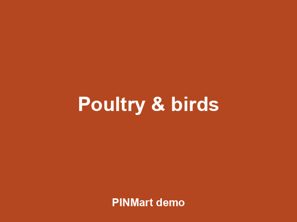 Point-of-lay hens (10)